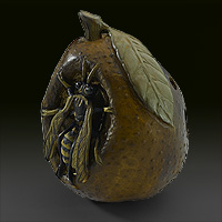 Guêpe sur une poire blette 2